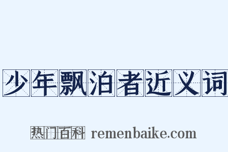 少年飘泊者近义词是什么意思的图片